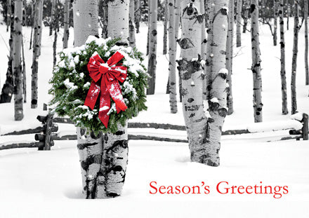 HP02303 Birch Grove Holiday Cards...