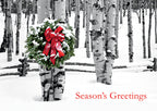 HP02303 Birch Grove Holiday Cards 7 7/8 x 5 5/8"