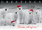HP02305 Polar Pack Holiday Cards 7 7/8 x 5 5/8"
