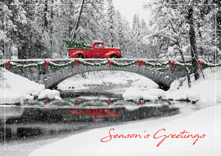 HP02306 Homeward Bound Holiday Cards...