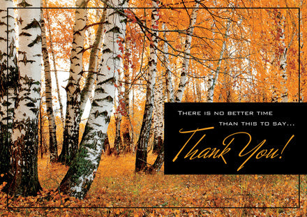 HP02308 Amber Appreciation Thanksgiving Cards...