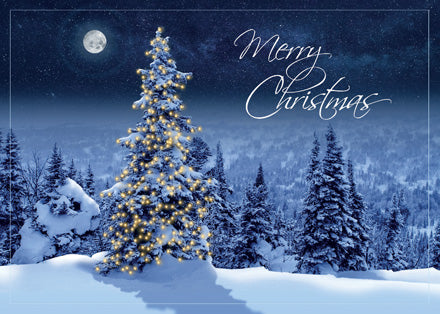 HP02315 Simply Stunning Christmas Cards...