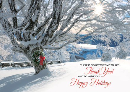 HP02316 Striking Gratitude Holiday Cards...