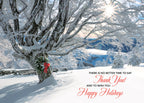 HP02316 Striking Gratitude Holiday Cards 7 7/8 x 5 5/8"