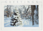 HP03393 - H15650 Hidden Treasure Holiday Cards 7 7/8 x 5 5/8"