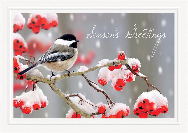 HP08301 Tweet Greetings Holiday Cards...