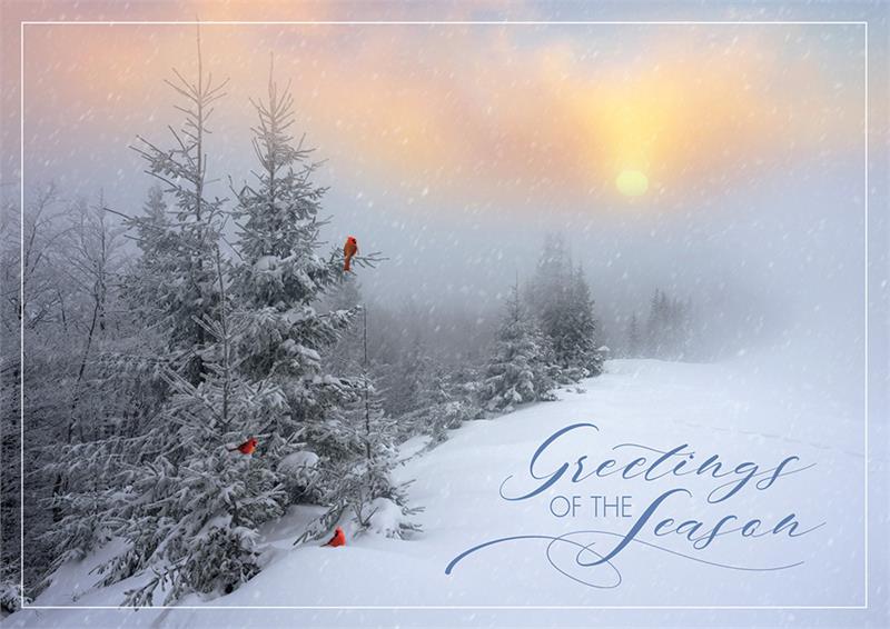 HP08303 Fantastic Flurries Holiday Cards...