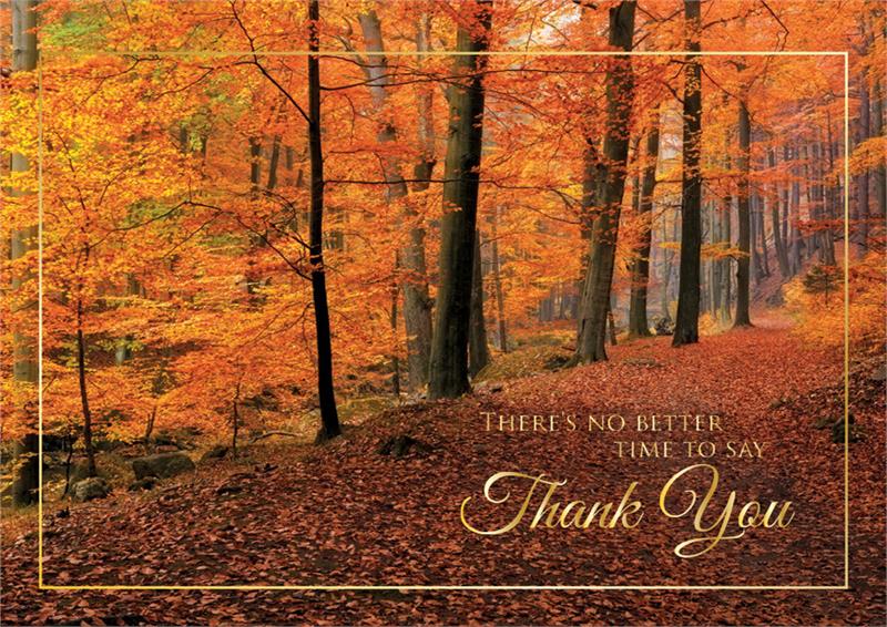 HP08308 Woodland Gratitude Thanksgiving Cards...