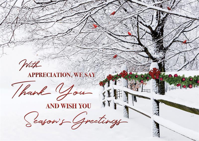 HP08314 Winter Wishes Holiday Cards...