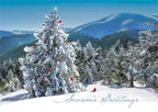 HV08803 Fresh View Petite Holiday Greeting Cards 7 x 5"